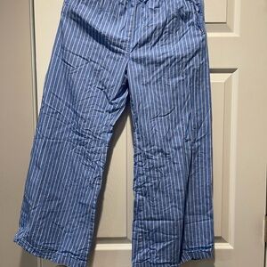 J. Crew Blue and White Striped Men's Pants